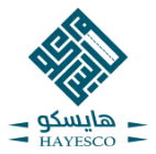 Hayesco logo