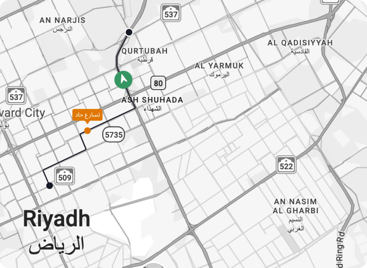 Route map with the vehicle's stops and incidents marked